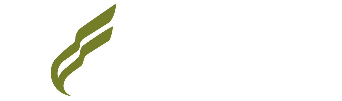 logo-white-novaltair